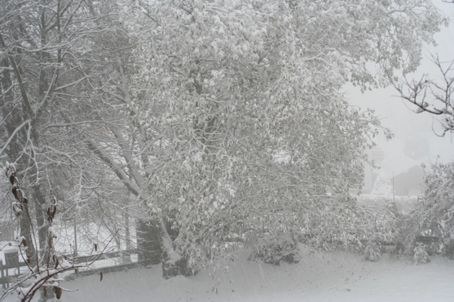 Hurra der erste Schnee